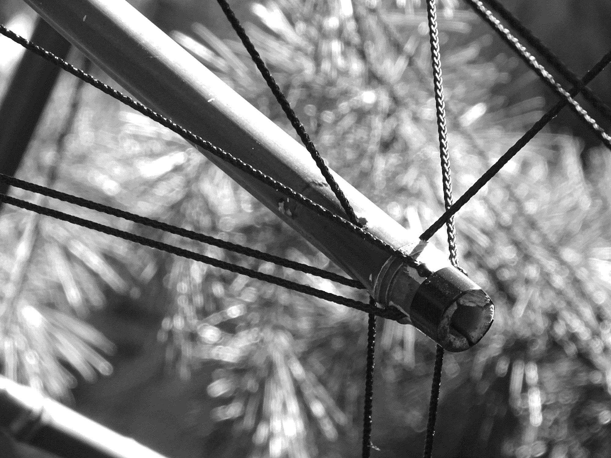 Ludovic_Regnault_Diploma_2, 2018, Bambu & Polypropylene